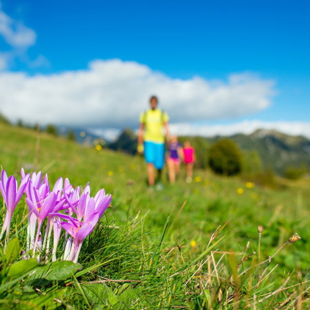 <p><strong>GUIDED ACTIVITIES</strong> every Wednesday 9:15 a.m. (from 21/06/2023 until 13/09/2023)</p>