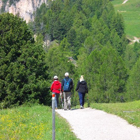 <p><strong>TÄTIGKEIT MIT ANLEITUNG</strong> Montag 9:30 (vom 19/06/2023 bis 16/09/2023)</p>